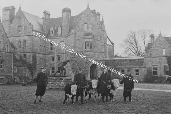 GLASLOUGH HOUSE  SIR SHANE LESLIE AND BULLOCKS BEFORE CASTLE